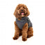 Chaqueta reflectante con arnés para perros FuzzYard Flash