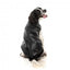 Chaqueta con arnés para perros FuzzYard Vienna negro