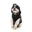 Chaqueta con arnés para perros FuzzYard Vienna negro