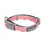 Collar para perros de neopreno FuzzYard Hey There Sweetie (talla L)
