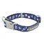 Collar para perros de neopreno FuzzYard Pluto Pup (talla S)