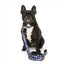 Collar para perros de neopreno FuzzYard Pluto Pup (talla XS)