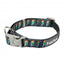 Collar para perros de neopreno FuzzYard Volt! (talla L)