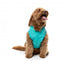 Chubasquero para perros FuzzYard Evo verde azulado con capucha