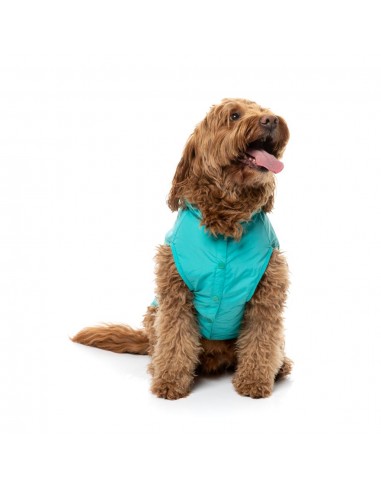 Chubasquero para perros FuzzYard Evo verde azulado con capucha