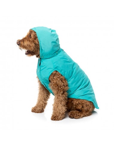 Chubasquero para perros FuzzYard Evo verde azulado con capucha