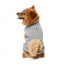 Jersey para perros FuzzYard Allday de algodón gris