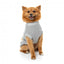 Jersey para perros FuzzYard Allday de algodón gris