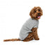 Jersey para perros FuzzYard Allday de algodón gris