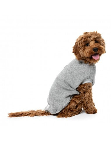 Jersey para perros FuzzYard Allday de algodón gris