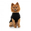 Jersey para perros FuzzYard Allday de algodón negro