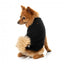 Jersey para perros FuzzYard Allday de algodón negro
