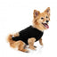 Jersey para perros FuzzYard Allday de algodón negro