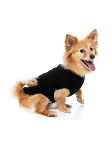 Jersey para perros FuzzYard Allday de algodón negro