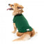 Jersey para perros FuzzYard Allday de algodón verde