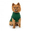 Jersey para perros FuzzYard Allday de algodón verde