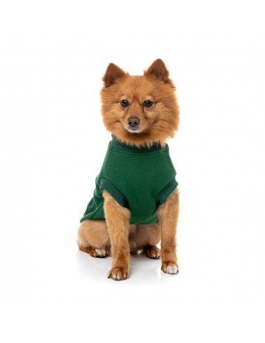 Jersey para perros FuzzYard Allday de algodón verde
