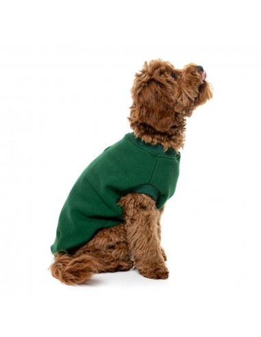 Jersey para perros FuzzYard Allday de algodón verde