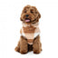 Jersey para perros FuzzYard Checkered Teddy tostado