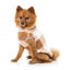 Jersey para perros FuzzYard Checkered Teddy tostado