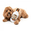 Peluche para perros FuzzYard botella Fleabag Gin