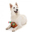 Peluche de Navidad para perros FuzzYard Christmas Brandy