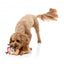 Peluche navideño para perros FuzzYard Domineck the Reindeer