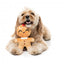 Peluche navideño para perros FuzzYard Doughlila (talla S)