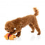 Peluche navideño para perros FuzzYard Fairisle Turkey (talla S)