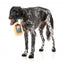 Peluche navideño para perros FuzzYard Jolly Scotch