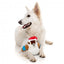Peluche navideño para perros FuzzYard Ka-Tree-Na Kookaburra