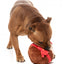 Peluche navideño para perros FuzzYard Merry Puddin