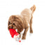 Peluche navideño para perros FuzzYard So Long Santa