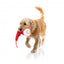 Peluche navideño para perros FuzzYard So Long Santa