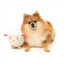 Peluche de Pascua para perros FuzzYard Bahh-bara