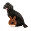 Peluche de Pascua para perros FuzzYard Big Bunny Donut