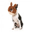 Peluche de Pascua para perros FuzzYard Big Bunny Donut