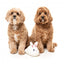 Peluche de Pascua para perros FuzzYard Fluffy Bunny Slipper