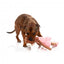 Peluche para perros FuzzYard Lankies Billie The Bear-Larina
