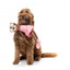 Peluche para perros FuzzYard Lankies Billie The Bear-Larina