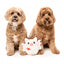 Peluche para perros FuzzYard Love Cu-pig, cerdito cupido