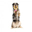 Peluche para perros FuzzYard Love Diamond In The Ruff Ring