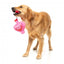 Peluche para perros FuzzYard Love Tail Chaser Perfume