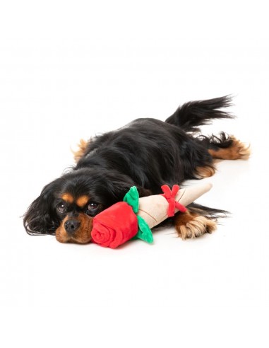 Peluche para perros FuzzYard Love Wrapped Rose