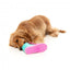 Juguete interactivo para perros FuzzYard Fresh Kicks n' Licks