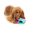 Juguete interactivo para perros FuzzYard Fresh Kicks n' Licks