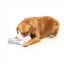 Peluche para perros FuzzYard Zapatillas y periódico pack 2