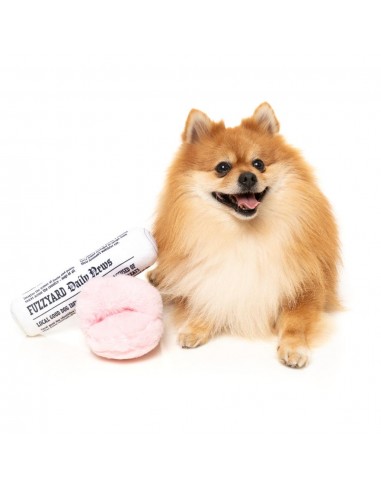 Peluche para perros FuzzYard Zapatillas y periódico pack 2