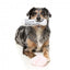 Peluche para perros FuzzYard Zapatillas y periódico pack 2