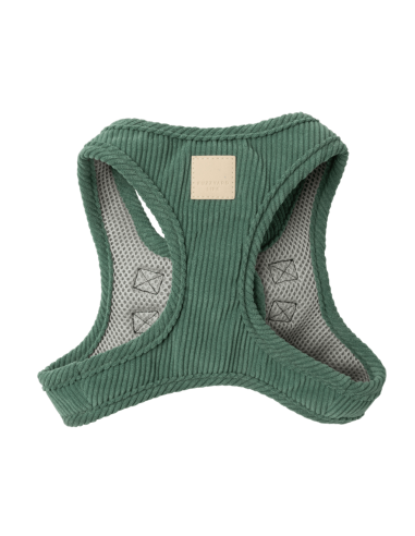 Arnés step-in para perro de pana FuzzYard Life Myrtle Green (talla XXS)